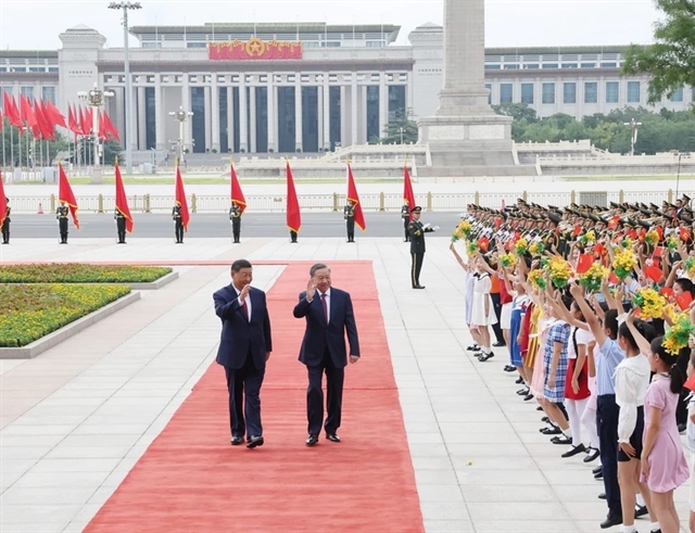 训练计划
